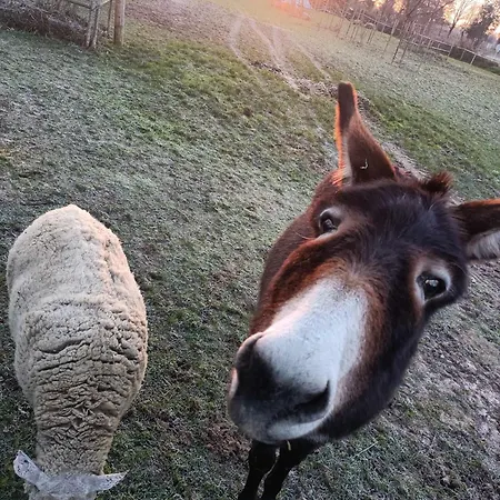 American Diner Sur La Site The Farm Ouest Capacite 7 Personnes La Chaize-le-Vicomte