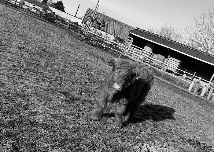 American Diner Sur La Site The Farm Ouest Capacite 7 Personnes Casa de Férias *